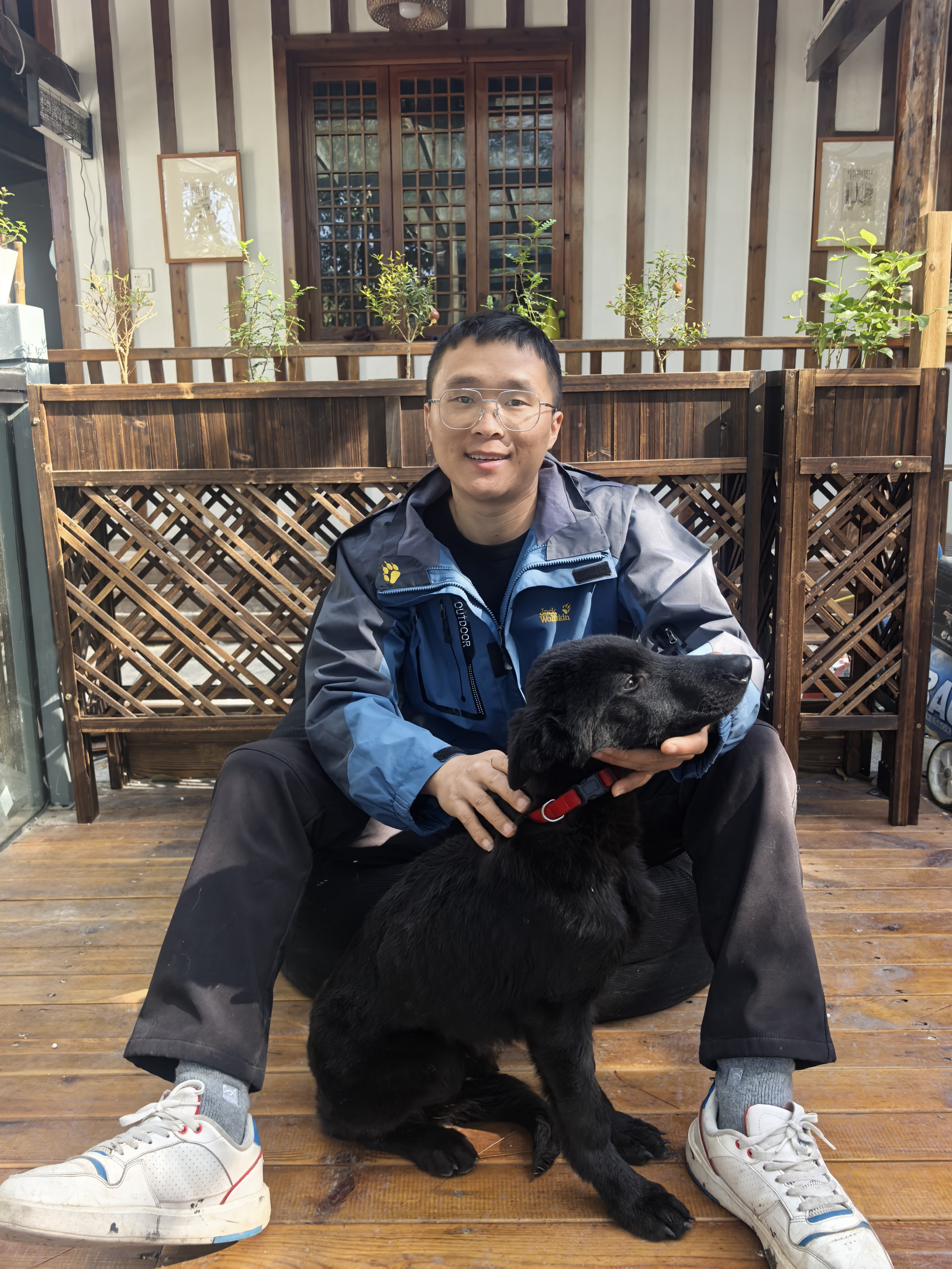 双血统带芯片追踪器出生纸东德牧羊犬